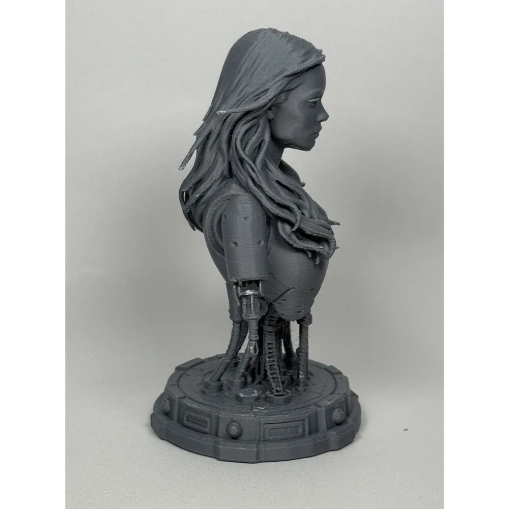 Sarah Connor Chronicles Poster Version Paintable Robot Toy